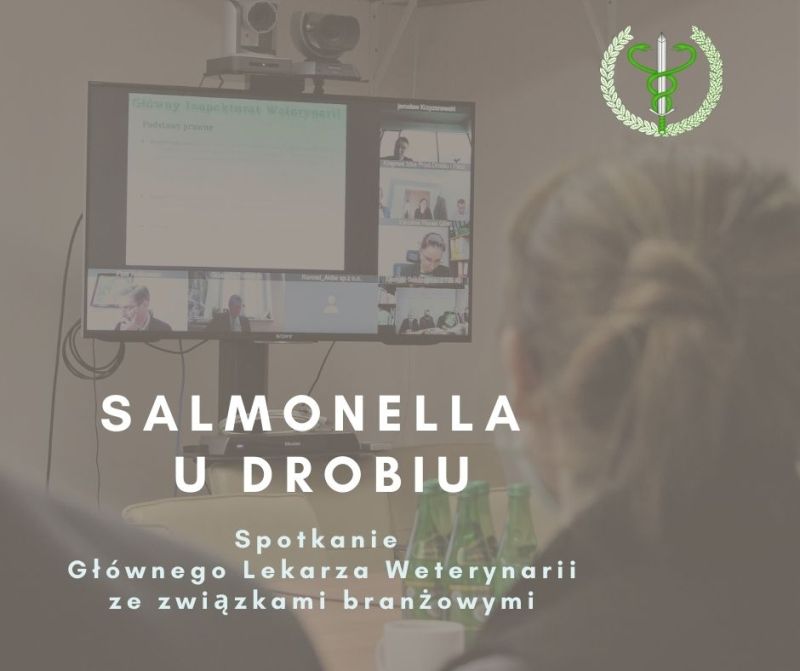 Salmonella u drobiu